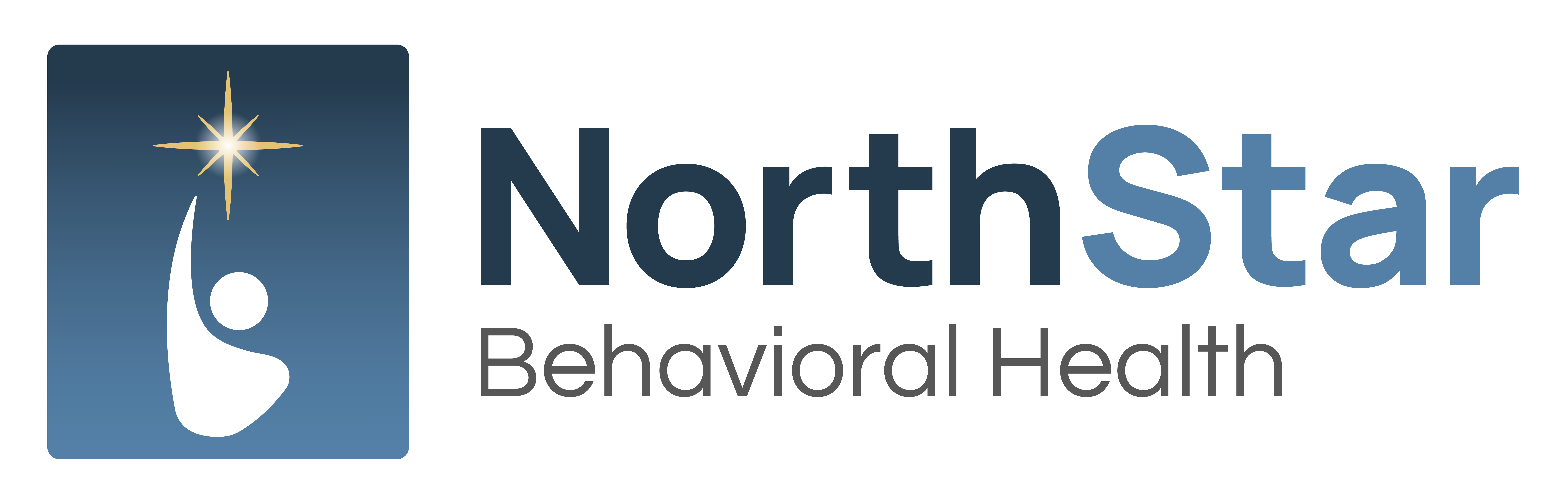 North Star Behavioral Health - Footer Logo